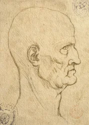 Studio delle proporzioni umane